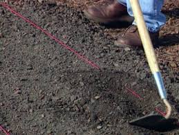 Healthy, vibrant soil = healthy, vibrant plants with built in disease and pest resistance and more nutrition. How To Grow Sweet Corn How Tos Diy