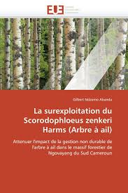 Image result for Scorodophloeus