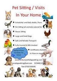 Maybe you would like to learn more about one of these? Pin On Tenbury Wells Dog Walking Pet Care Services