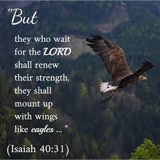 Maybe you would like to learn more about one of these? Pin On Bible Quotes