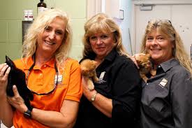 National Animal Care & Control Association