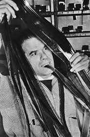 Regarding Frank Capra: Audience, Celebrity, and American Film Studies,  1930-1960