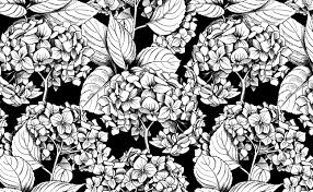 Daisy seamless pattern is created of white daisy drawings on black background. Black White Hydrangea Flowers And Leaves Illustrated Wallpaper For Walls Floral Chic