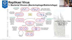 Berkenalan Lebih Dekat Dengan Virus Corona Dan Wabahnya Institut Teknologi Bandung