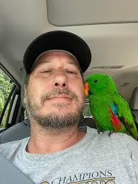 Romeo went missing about 930 this morning in Makawao near kalama please let  me know if anyone sees him