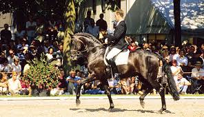 Maybe you would like to learn more about one of these? Sandro Hit The Horse Magazine