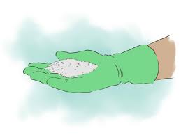Pin On Gardening