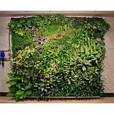 We did not find results for: Vertical Green Wall At Rs 700 Square Feet à¤¹à¤° à¤¦ à¤µ à¤° à¤— à¤° à¤¨ à¤µ à¤² Impression Interio Kitchenette Lucknow Id 17261975255