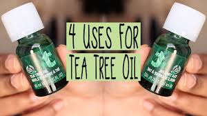 Discover the power of our iconic tea tree oil skincare range at the body shop. 4 Uses For The Body Shop S Tea Tree Oil Zahrah Aliyah Youtube