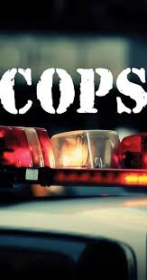 Cops (TV Series 1989–2024)