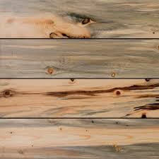 We just secured some really nice beetle killed pine logs! Beetle Kill Blue Stain Pine T G Shiplap Ceiling Wall Plank Boards