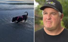 Darren Ryder's Instagram, Twitter & Facebook