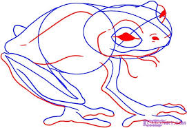 How To Draw A Frog Step By Step Rainforest Animals Animals Frog Art Drawings Guided Drawing