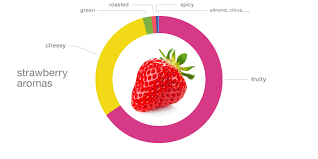 Science Behind Foodpairing