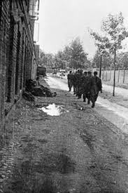 14 Photographs by juliusz bogdan deczkowski, Zoska battalion Images: PICRYL 