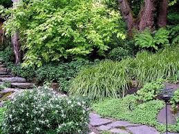 The Wild Garden Hansen S Northwest Native Plant Database Native Plant Landscape Pacific Northwest Garden Northwest Landscaping