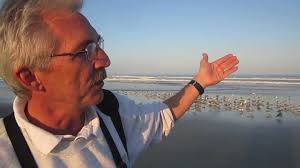 Volusia County Gull Spectacle » Powered by Birds