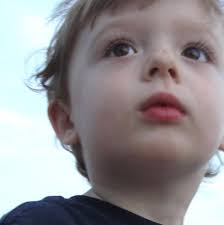 Norwalk ACTS Community Impact Report