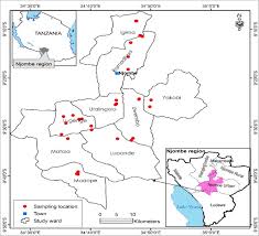 Image result for Eriosema flexuosum