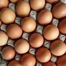 Check spelling or type a new query. Telur Ayam Negeri Fresh 1kg Kurang Lebih15 17 Butir Telur Ayam Ras Ikat Kg Shopee Indonesia