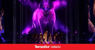 Tiempo Sur - News update