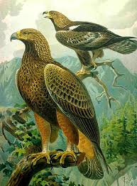 It is 22 kmfrom the center of sochi and is 7 km from khosta. Echte Adler Wikipedia