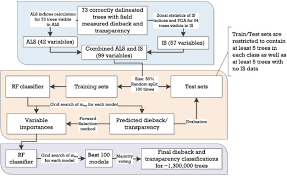 Mapping Individual Tree Health Using Full Waveform Airborne