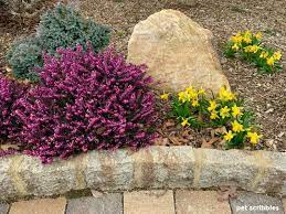 Check spelling or type a new query. Kramer S Red Winter Heath Garden Sanity By Pet Scribbles