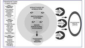 Health justice australia is endorsed as a public benevolent institution and has deductible gift recipient status (generally, donations of $2 or more … Intersectionality Research For Transgender Health Justice Irthj Download Scientific Diagram