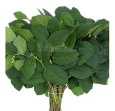 It is trimmed with green leaves, fern fronds, and berry clusters for added natural appeal. Bulk Salal Tips Lemon Leaf Flower For Sale Lemon Leaves Salal Grow Your Own Wedding Flowers