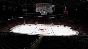 coyotes to host 2020 rookie faceoff tournament at gila river