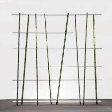 Bamboo Forest By Poetic Lab Bambu Design Arredamento