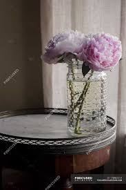 Check spelling or type a new query. Fresh Cut Pink Peonies In Jar On Small Table Color Indoor Stock Photo 178861314