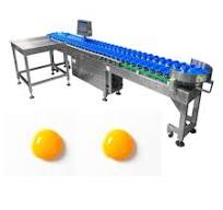 [Hot Item] Weight Sorting Machine Grading-Machine Weight Sorter Weight  Grader Classifier for Fruit, Shrimp, Apple, Egg Yolk, Avocado, Lemon,  Mango, ...