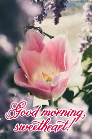 May god light up your day as he caused the sun light up the day, may you live long to enjoy the fruit of your labor and i beseech the lord to beautify your life with endless joy! Good Morning My Love Messages For Your Lover Good Morning Love Say It With First Breath In The State