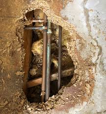 This includes not only the plumbing in the kitchen or bathroom that you're remaking, but also any pipes passing through the walls to feed upstairs bathrooms. What Is The Cost To Repipe A House In Central Florida Rainaldi Home Services