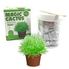 Visit our webshop for more information and easy, discrete ordering. Magic Cactus Growing Kit Grow A Crystal Cactus In Just A Few Days