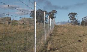 The implementation of exclusion fencing has proven to be a valuable investment for cattle and sheep producers seeking to protect their stock and feed. Exclusion Fence Cluster In Nsw High Country Fencit