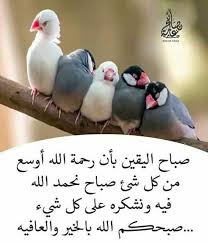 الحمد لله سبحان الله وبحمده سبحان الله العظيم صباحكم عسل Good Morning Images Flowers Good Morning Arabic Good Morning Greetings