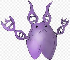 Purple pokemon with blue horns and tail. Pokemon X And Y Ditto Evolution Pokedex Png 800x708px Ditto Antler Evolution Fictional Character Jigglypuff Download