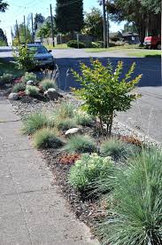 Pin By Lea Faulks On Gardening Landscaping I Sidewalk Landscaping Gravel Garden Garden Landscape Design