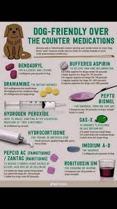 Pepcid ac may also be prescribed for dogs who have ingested toxins that can cause ulcers, like tylenol. Dog Friendly Over The Counter Medications Always Ask A Veterinarian Before Giving Any Medication To Your Dog Even Safe Hurman Meds Can Be Toxic To Certain Breeds Or Pets With Preexisting Conditions