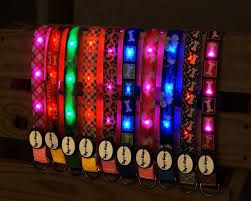 Light Up Dog Collar
