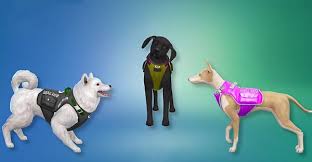 Check out the other twitter q&a posts here, here, here, here, and here! Sims 4 Pets Cc Sims 4 Downloads