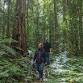 Werrikimbe National Park – Celebrating 50 Years event image