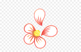 Add small lines inside the petals coming off the small center oval. Flower Drawing Png Download 500 562 Free Transparent Drawing Png Download Cleanpng Kisspng