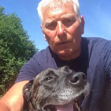 How many Dart Flights will we find in the tree this year 😳