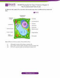 Students can practice free mcqs as have been added by cbse in the new exam pattern. Ncert Exemplar Class 9 Science Solutions Chapter 5 The Fundamental Unit Of Life Download Free Pdf