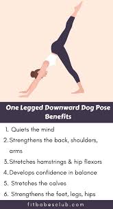 How To Do One Legged Downward Dog Pose And Benefits Yoga Facts Yoga Information Workout For Beginners