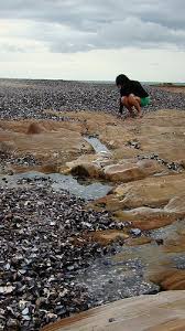 La Paloma Rocha Uruguay Restos De Mejillones Cool Places To Visit Wonders Of The World Places To Visit